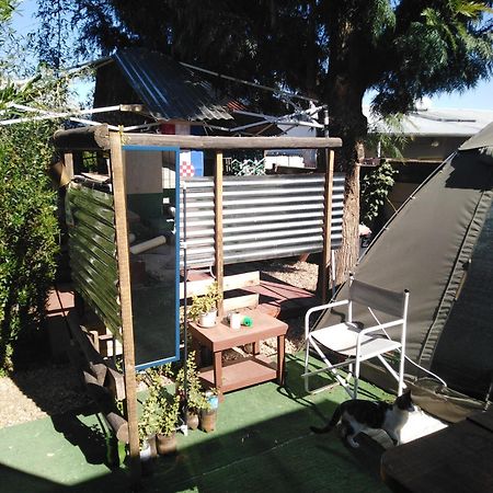 Xenia Bed & Breakfast Windhoek Ngoại thất bức ảnh