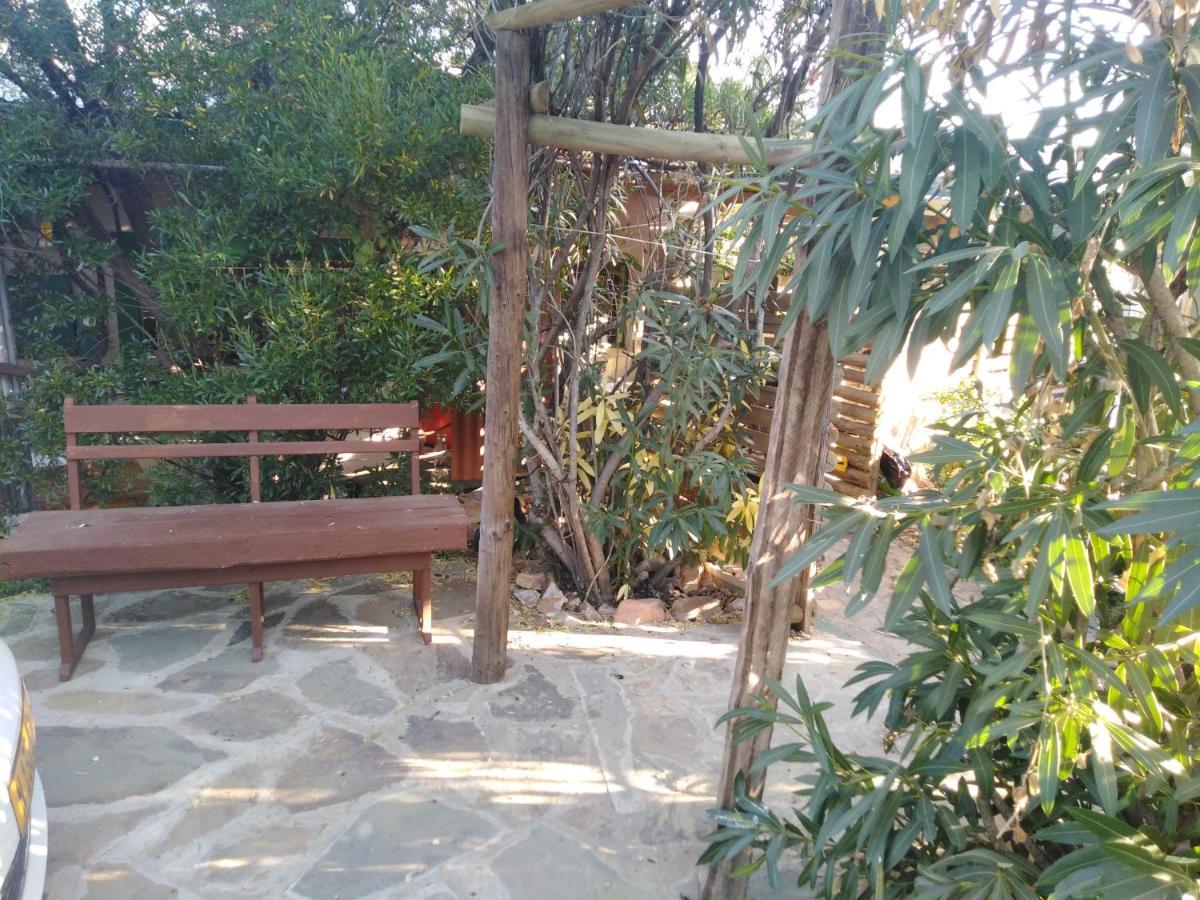 Xenia Bed & Breakfast Windhoek Ngoại thất bức ảnh