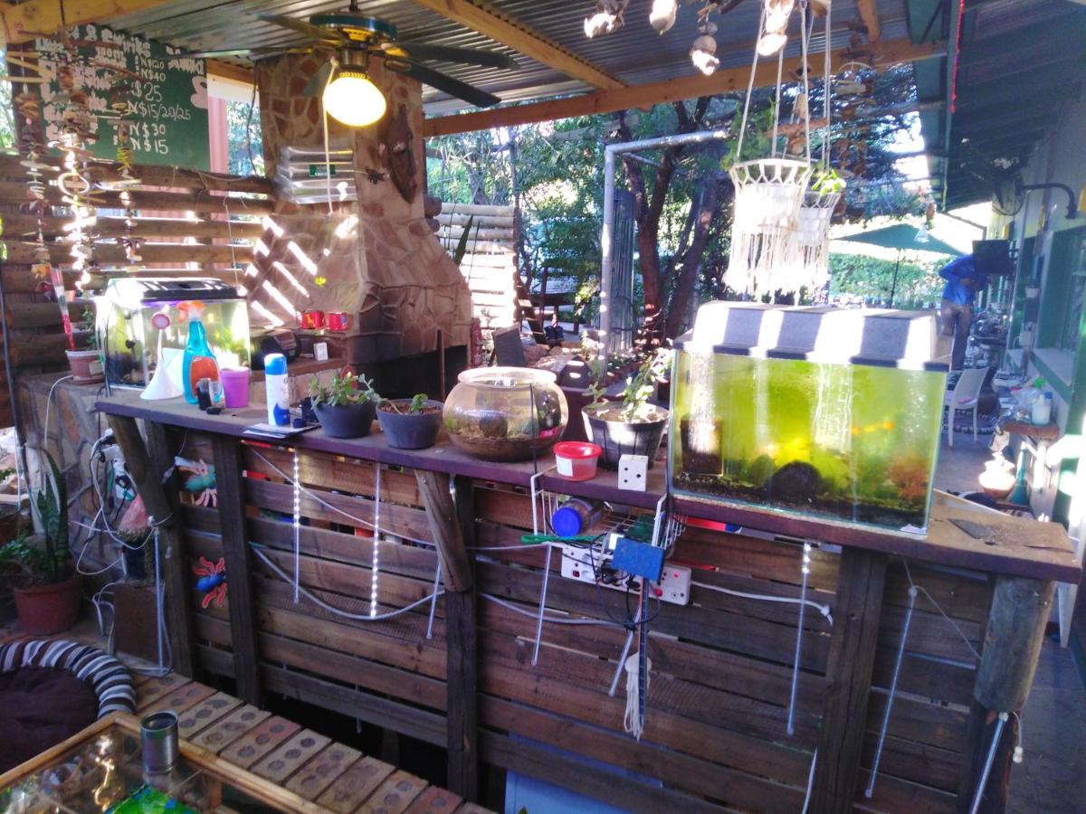 Xenia Bed & Breakfast Windhoek Ngoại thất bức ảnh